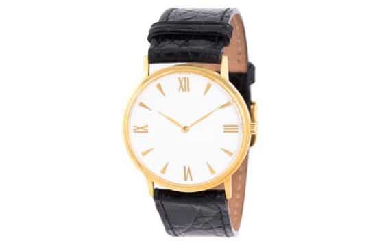 coach watch care